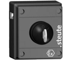 6810083101 Steute   
